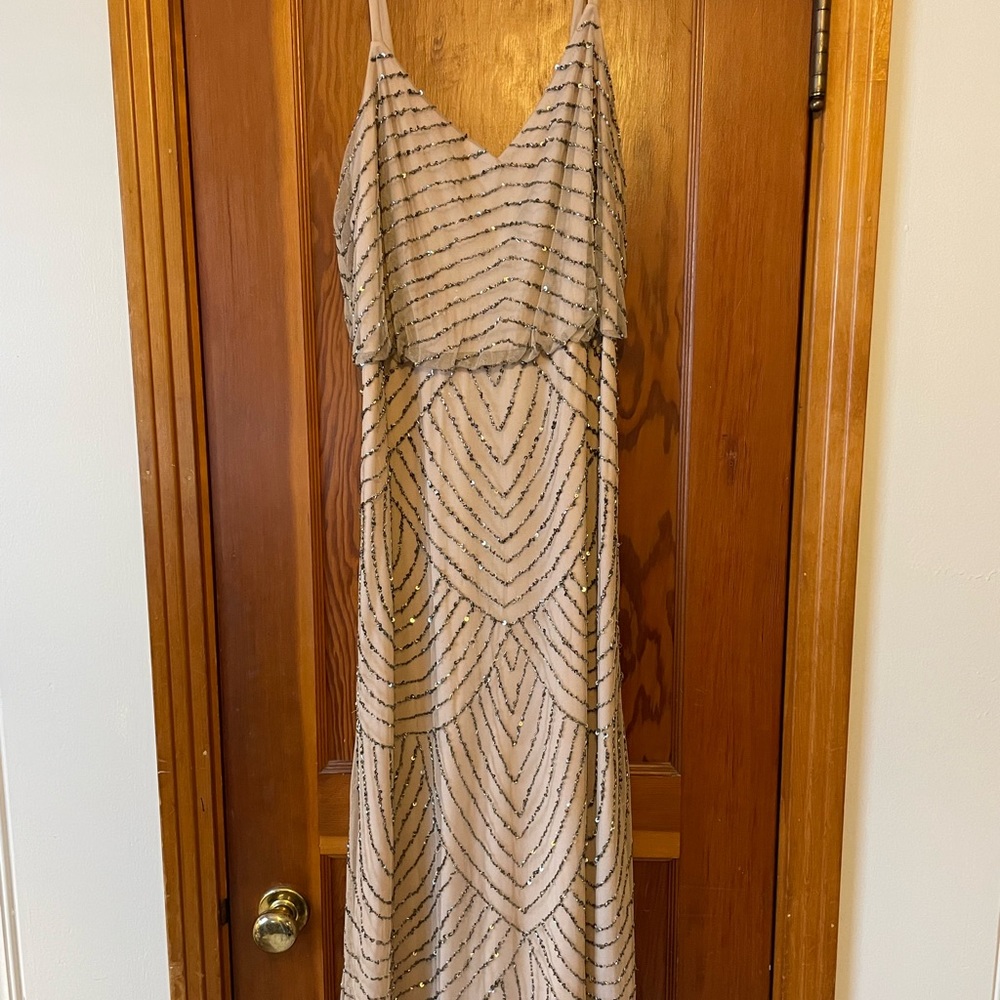 Adriana Papell Evening Gown (Blush)